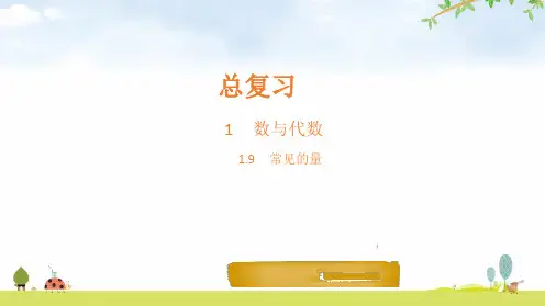 六年级下册数学课件-第9节 常见的量-北师大版(13页)PPT