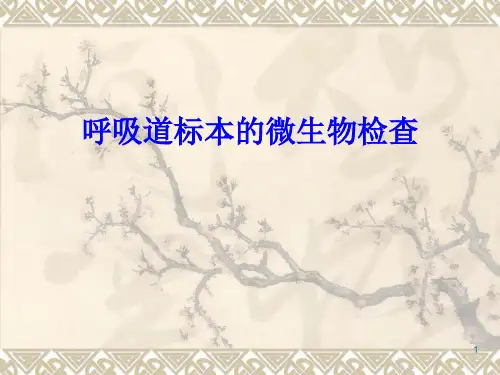 呼吸道病毒的微生物学检验