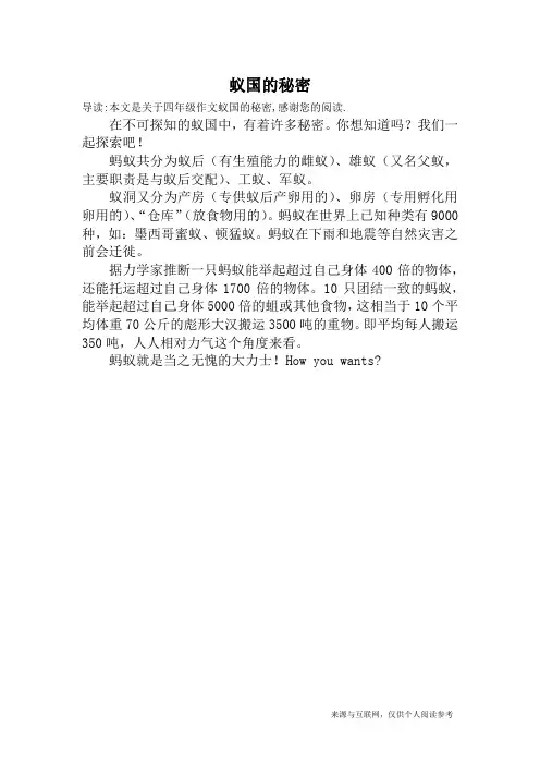 蚁国的秘密_四年级作文