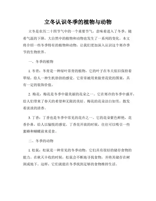 立冬认识冬季的植物与动物
