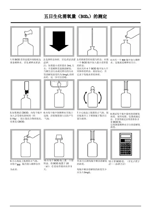 五日生化需氧量(BOD5)的测定