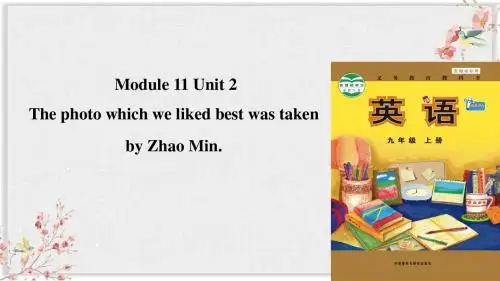 外研版九年级英语上册课件Module 11 Unit 2