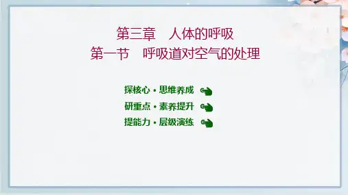 2022年人教版七年级下册生物第四单元第三章第一节 呼吸道对空气的处理