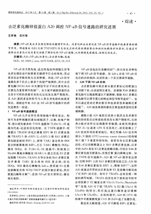 去泛素化酶锌指蛋白A20调控NF—κB信号通路的研究进展