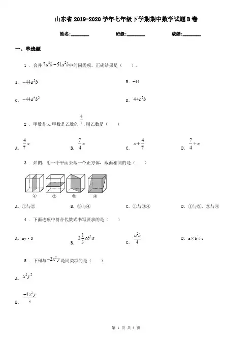 山东省2019-2020学年七年级下学期期中数学试题B卷