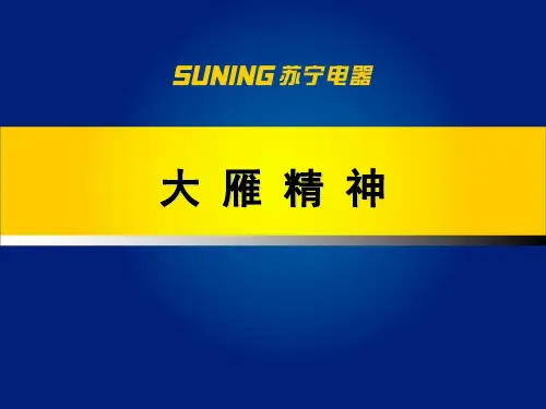 大雁精神