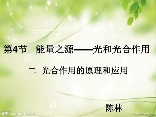 光合作用