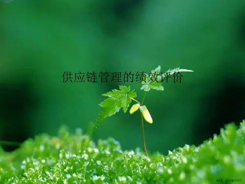 供应链管理的绩效评价