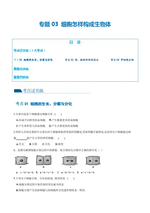 专题03 细胞怎样构成生物体(练习)(原卷版)