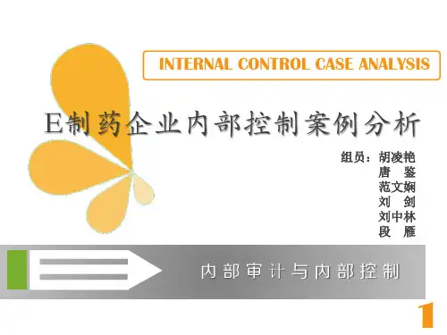 E制药企业内部控制案例分析解析