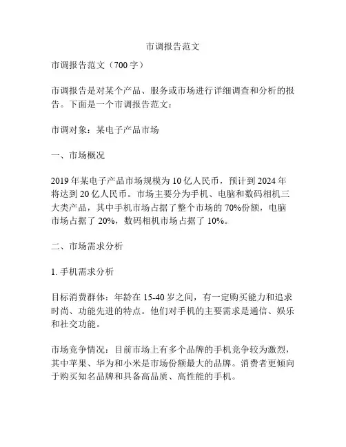 市调报告范文