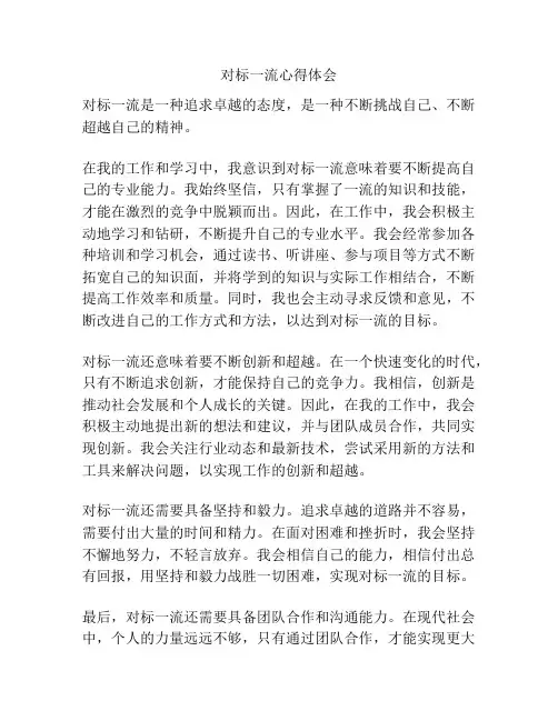 对标一流心得体会