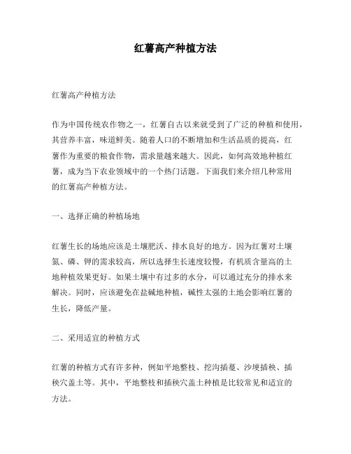 红薯高产种植方法
