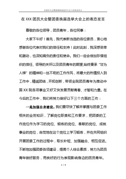 在团员大会暨团委换届选举大会上的表态发言