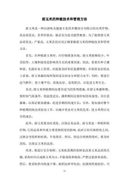 甜玉米的种植技术和管理方法