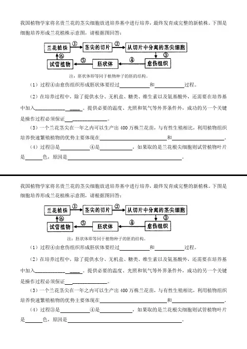 细胞工程作业