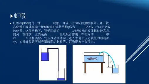浅谈盗血现象超声诊断