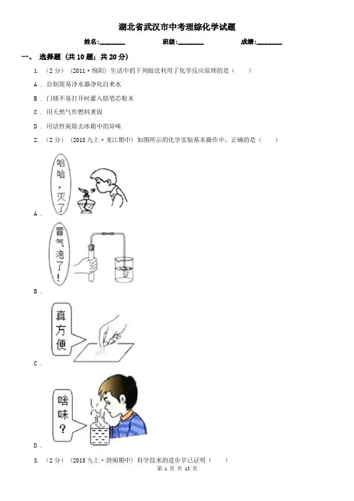 湖北省武汉市中考理综化学试题