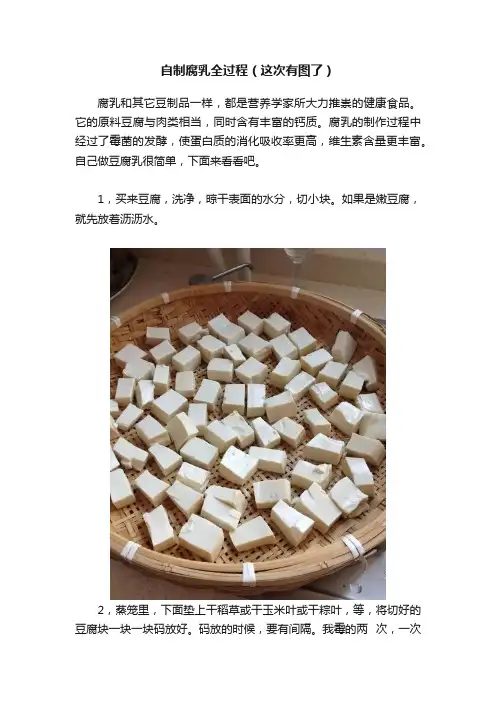 自制腐乳全过程（这次有图了）