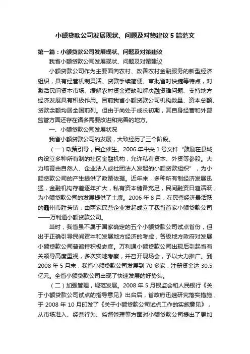 小额贷款公司发展现状、问题及对策建议5篇范文