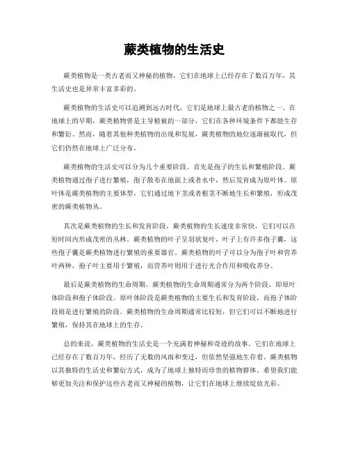 蕨类植物的生活史