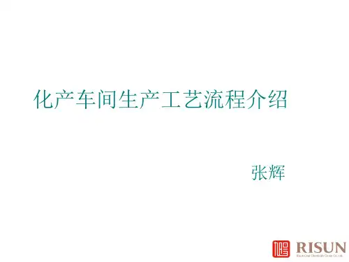 化产车间流程图