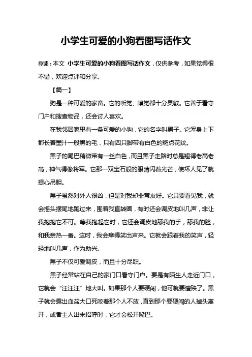 小学生可爱的小狗看图写话作文
