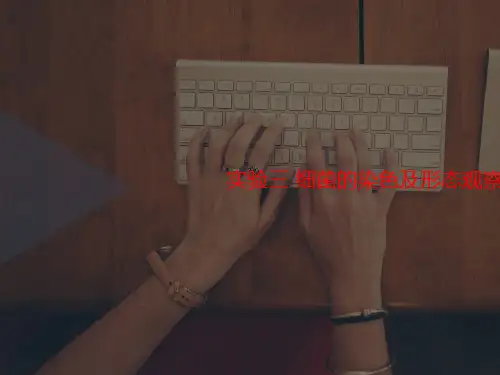 实验三讲义 细菌的染色及形态观察