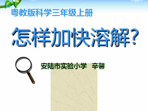 三年级上册科学-14怎样加快溶解 粤教版 (共22张)优质教学公开课件