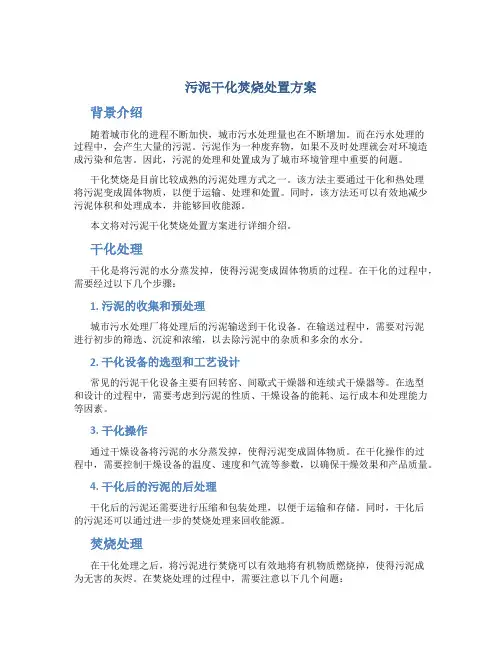 污泥干化焚烧处置方案