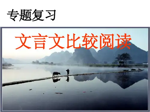 文言文比较阅读  (完美版)ppt课件