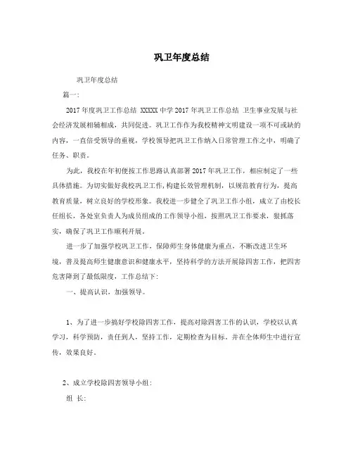 巩卫年度总结