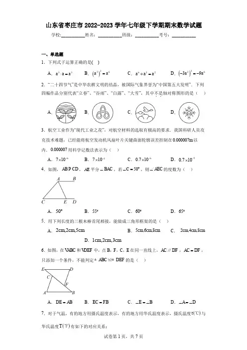 山东省枣庄市2022-2023学年七年级下学期期末数学试题