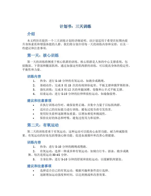 计划书三天训练