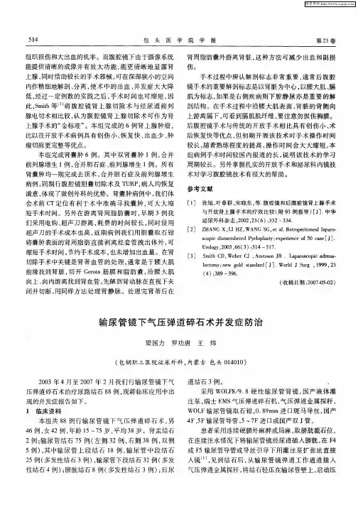 输尿管镜下气压弹道碎石术并发症防治