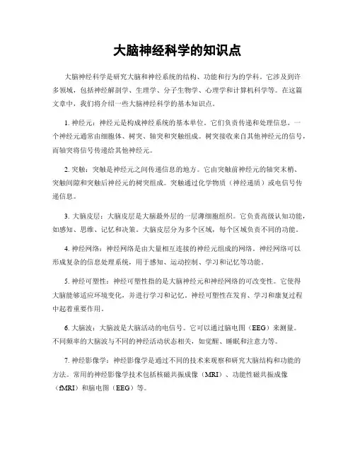 大脑神经科学的知识点