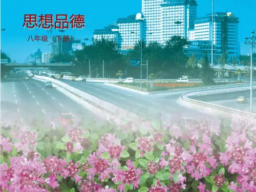 8、1社会合作与公平