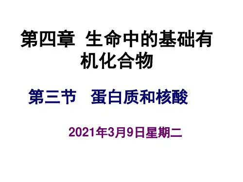 人教版化学选修五4.3《蛋白质 核酸》课件 (共59张ppt)