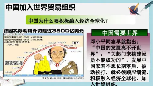 高中历史重要微知识点第24课2中国加入世界贸易组织课件新人教版必修2