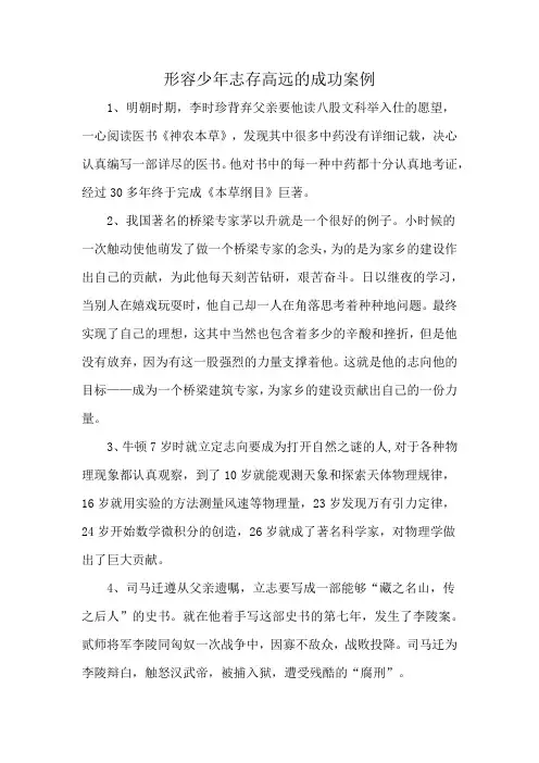 形容少年志存高远的成功案例