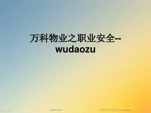 万科物业之职业安全wudaozu