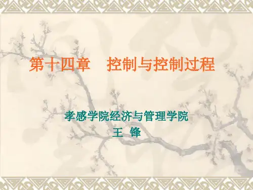 第十四章 控制与控制过程