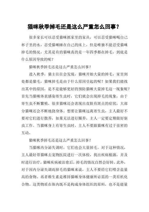 猫咪秋季掉毛还是这么严重怎么回事？