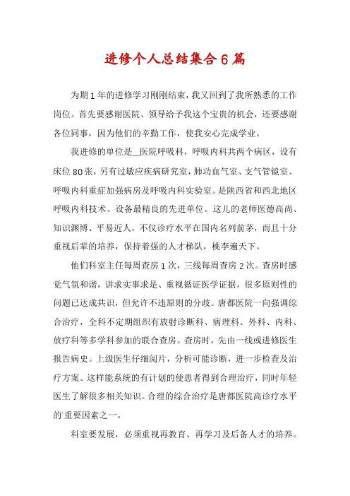 进修个人总结集合6篇