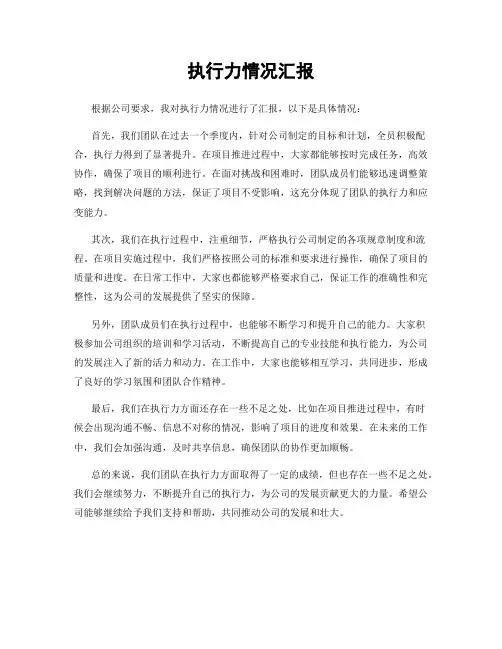 执行力情况汇报