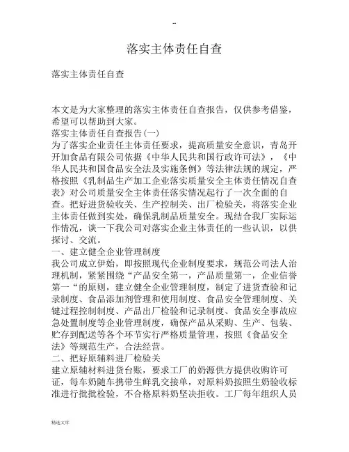 落实主体责任自查