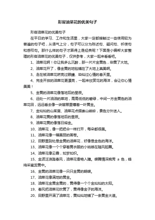 形容油菜花的优美句子