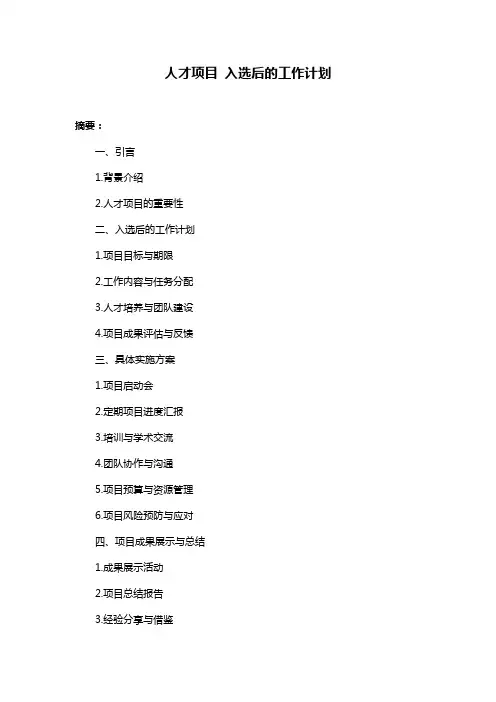 人才项目 入选后的工作计划