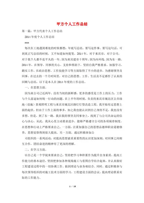 甲方个人工作总结