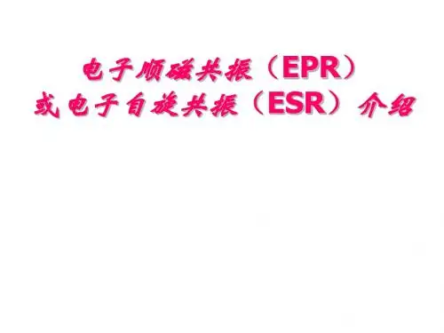 电子顺磁共振(EPR2007-1)